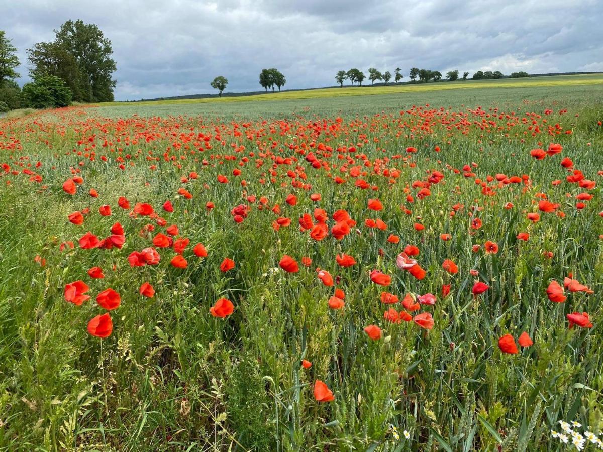 Gospodarstwo Agroturystyczne Dolina Wardynki Suliszewo Exterior foto