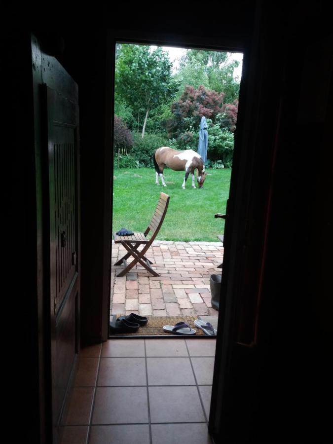 Gospodarstwo Agroturystyczne Dolina Wardynki Suliszewo Exterior foto